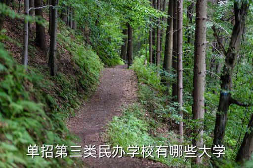 单招第三类民办学校有哪些大学