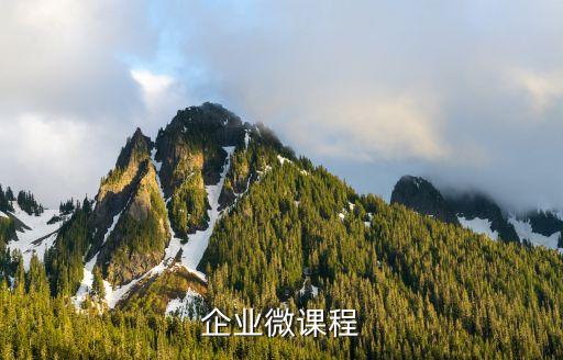 企业微课程