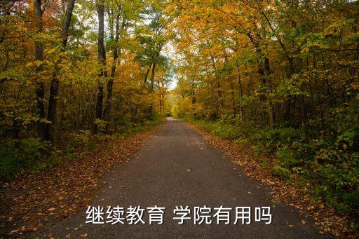 继续教育 学院有用吗