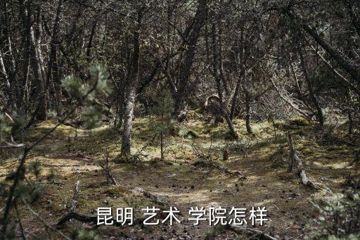  昆明 艺术 学院怎样