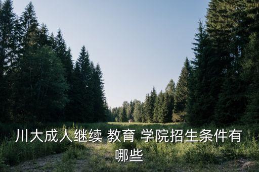 四川大学职业教育学院