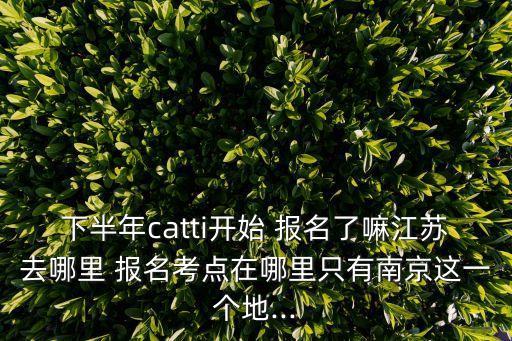 下半年catti开始 报名了嘛江苏去哪里 报名考点在哪里只有南京这一个地...