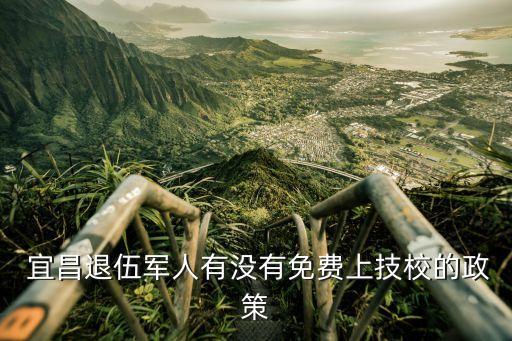 宜昌退伍军人有没有免费上技校的政策