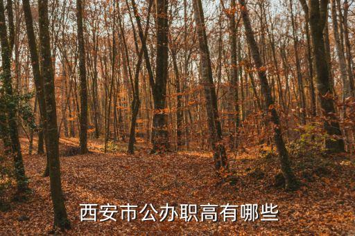  西安市公办职高有哪些