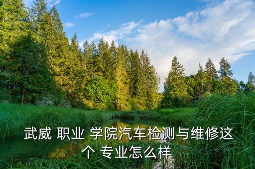  武威 职业 学院汽车检测与维修这个 专业怎么样