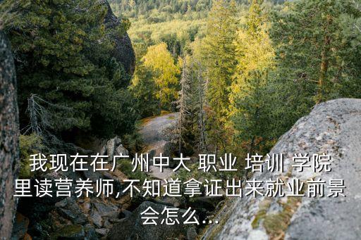 广东中大职业培训学院分校,中大职业培训学院和中大关系