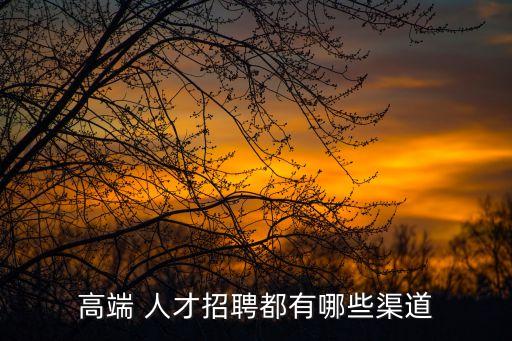 高端 人才招聘都有哪些渠道