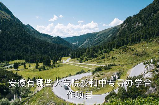 安徽工贸职业技术学院校长李雪