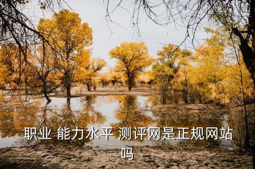  职业 能力水平 测评网是正规网站吗