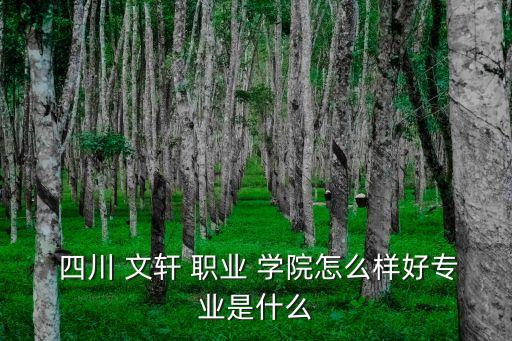  四川 文轩 职业 学院怎么样好专业是什么