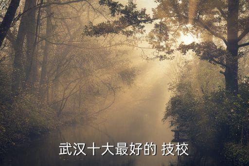 武汉十大最好的 技校