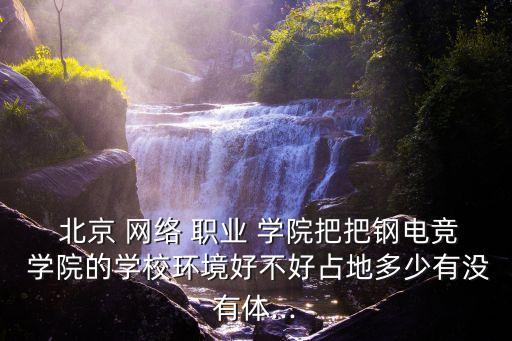  北京 网络 职业 学院把把钢电竞 学院的学校环境好不好占地多少有没有体...