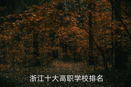  浙江十大高职学校排名