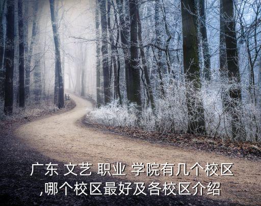 广东文艺职业学院专业