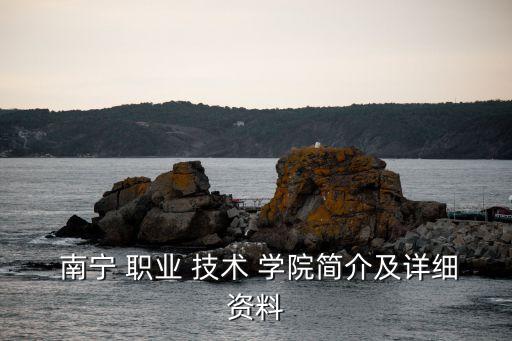  南宁 职业 技术 学院简介及详细资料
