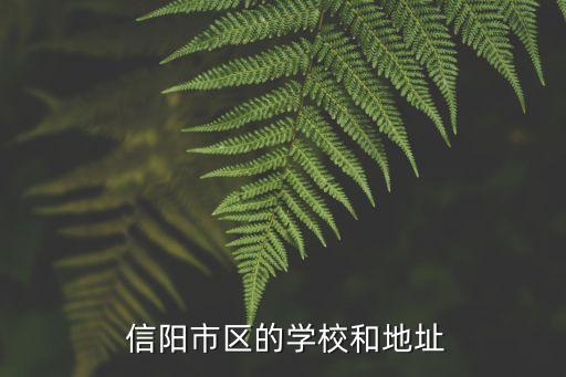  信阳市区的学校和地址