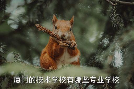 厦门的技术学校有哪些专业学校