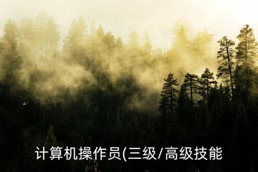 职业资格证书 模板