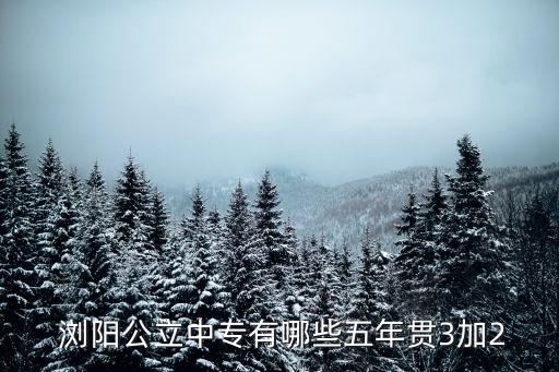 浏阳第二职业学校,茂名市第二职业技术学校