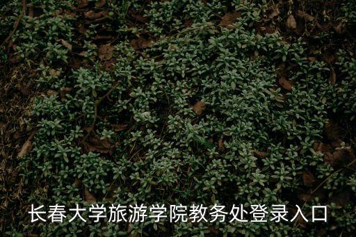 长春大学旅游学院教务处登录入口