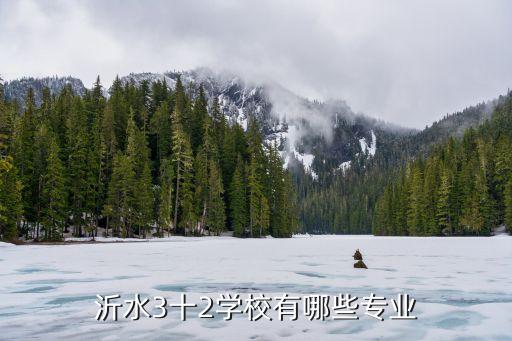 沂水3十2学校有哪些专业