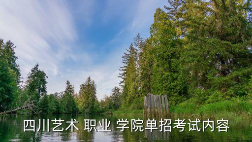 四川艺术 职业 学院单招考试内容