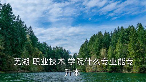  芜湖 职业技术 学院什么专业能专升本