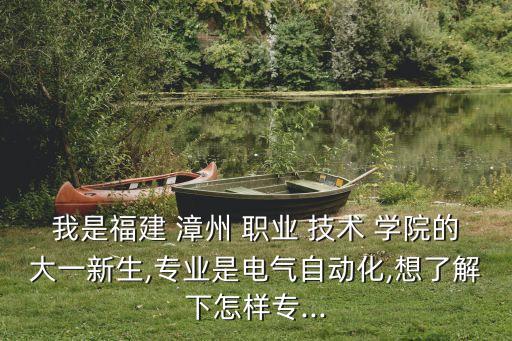 我是福建 漳州 职业 技术 学院的大一新生,专业是电气自动化,想了解下怎样专...