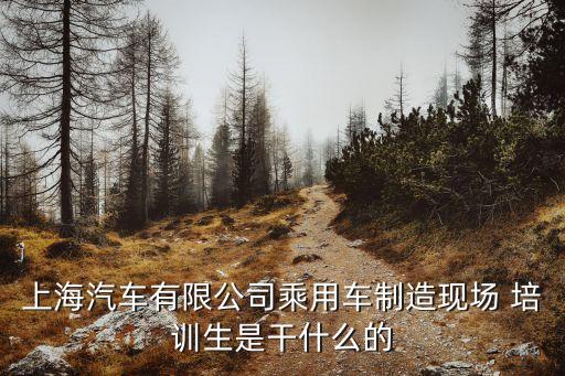 上海汽车有限公司乘用车制造现场 培训生是干什么的
