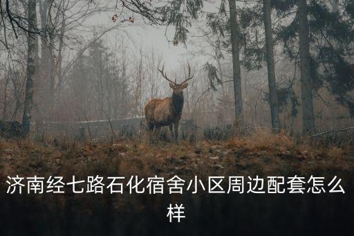 济南经七路石化宿舍小区周边配套怎么样