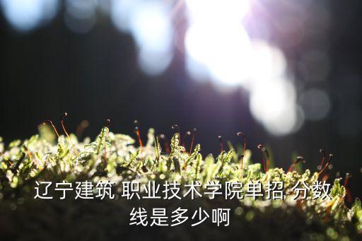 2017辽宁职业取分数线,辽宁中医药大学2017年分数线