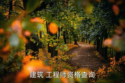 全国职业工程师,职业工程师的标准
