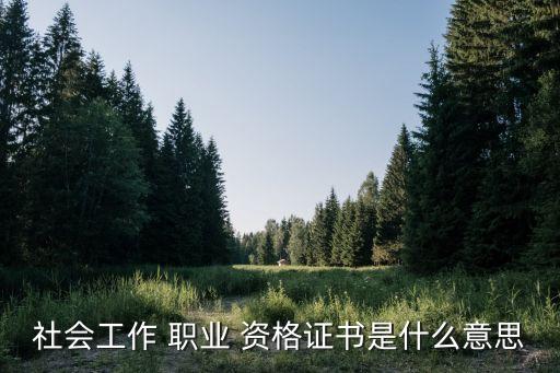 新颁布的职业资格证,国家职业资格工作网