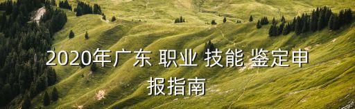 2020年广东 职业 技能 鉴定申报指南