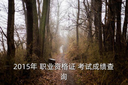 2015年 职业资格证 考试成绩查询
