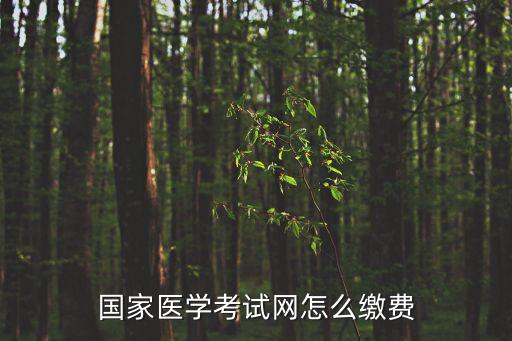 国家医学考试网怎么缴费