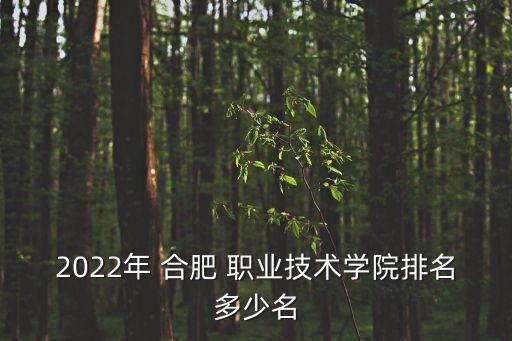 2022年 合肥 职业技术学院排名多少名