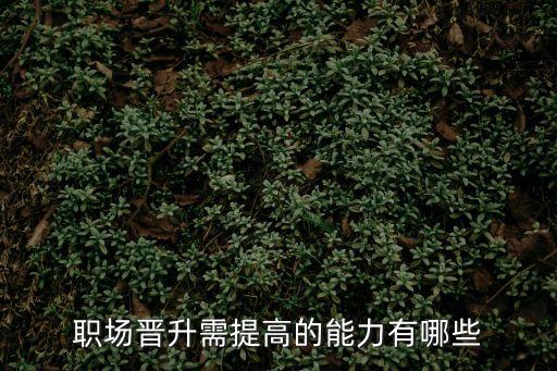 职场晋升需提高的能力有哪些