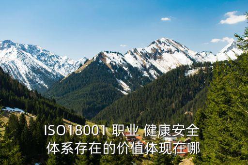 ISO18001 职业 健康安全 体系存在的价值体现在哪