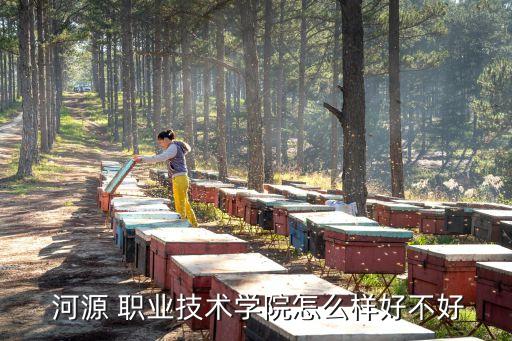  河源 职业技术学院怎么样好不好