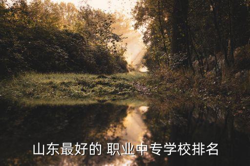 山东最好的 职业中专学校排名