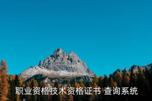  职业资格技术资格证书 查询系统