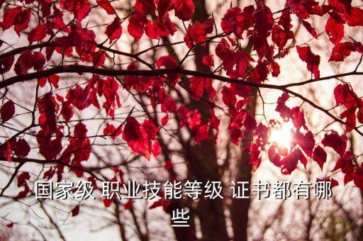  国家级 职业技能等级 证书都有哪些