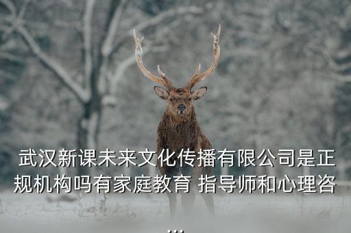 武汉 职业培训指导服务,武汉职业培训学校