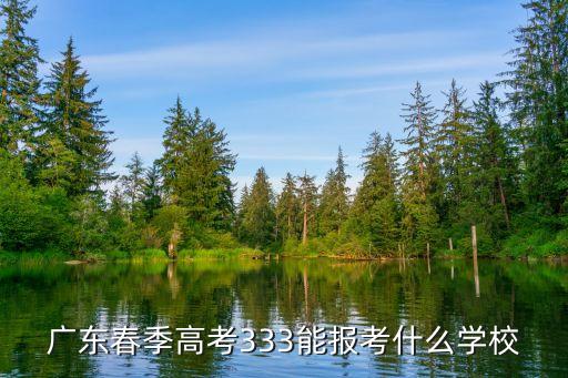广东春季高考333能报考什么学校