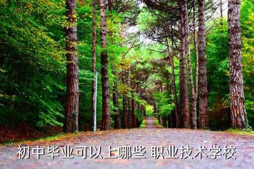 北京有没有初中生上的职业学院,北京社会管理职业学院招初中生吗