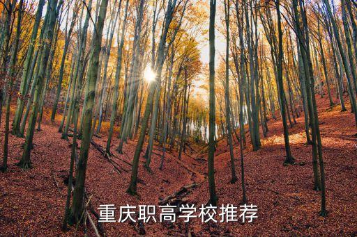 重庆职高学校推荐