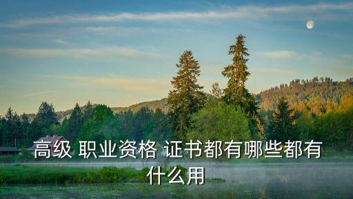  高级 职业资格 证书都有哪些都有什么用