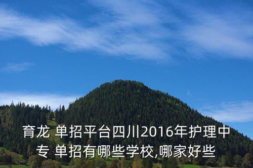 育龙 单招平台四川2016年护理中专 单招有哪些学校,哪家好些