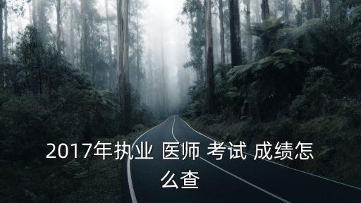 2017年执业 医师 考试 成绩怎么查